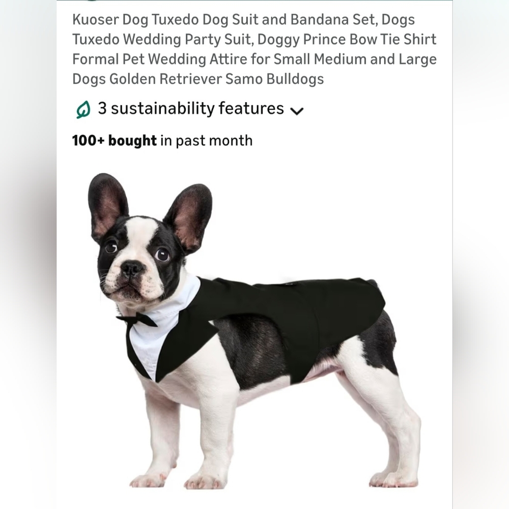 Black Dog Tuxedo Suit with Bandana